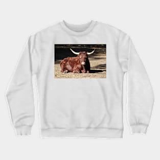 Bull Relaxing Crewneck Sweatshirt